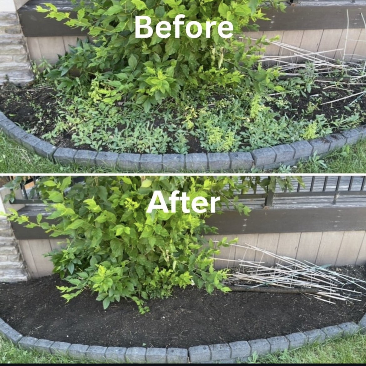 Flower bed before and after