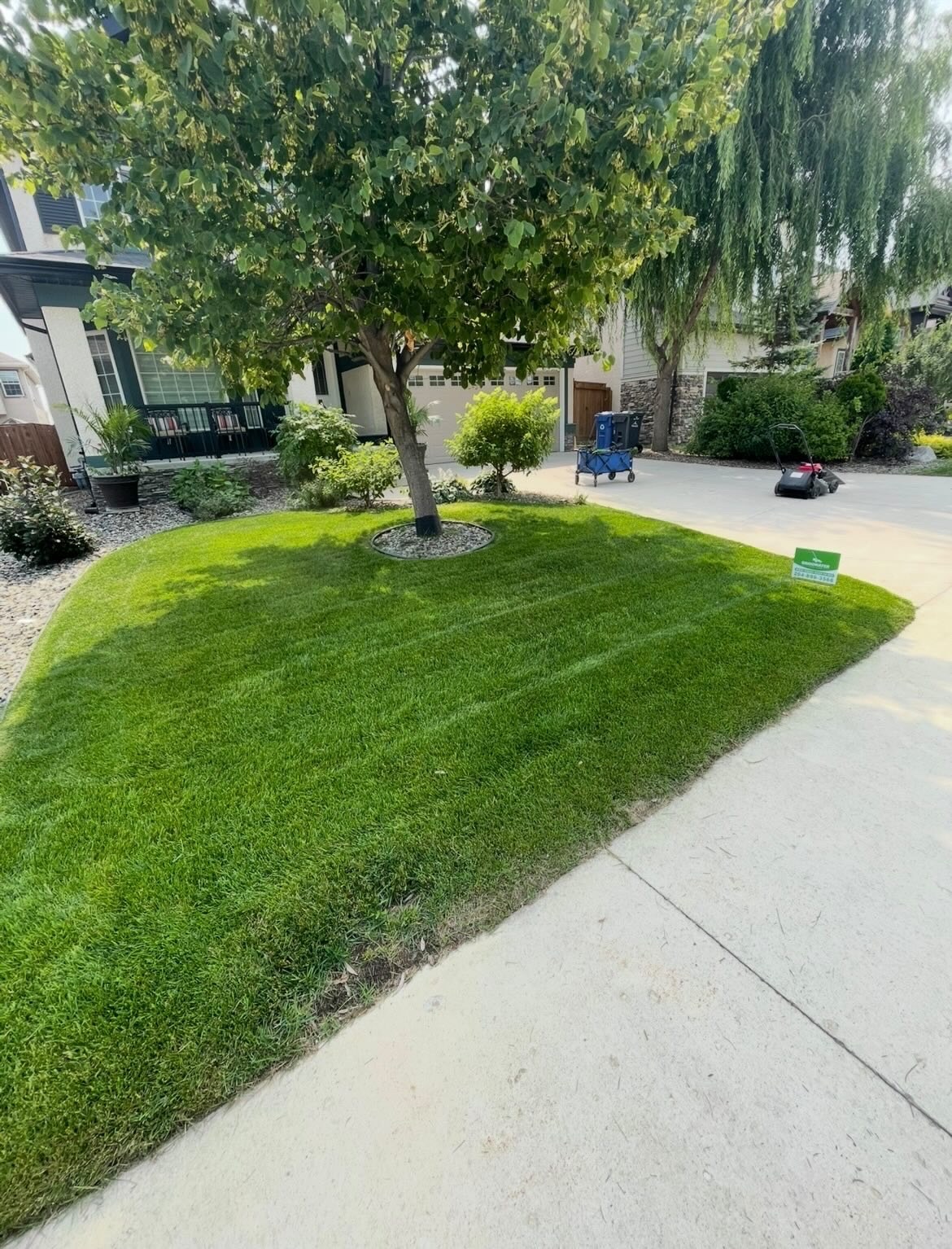 Lawn care