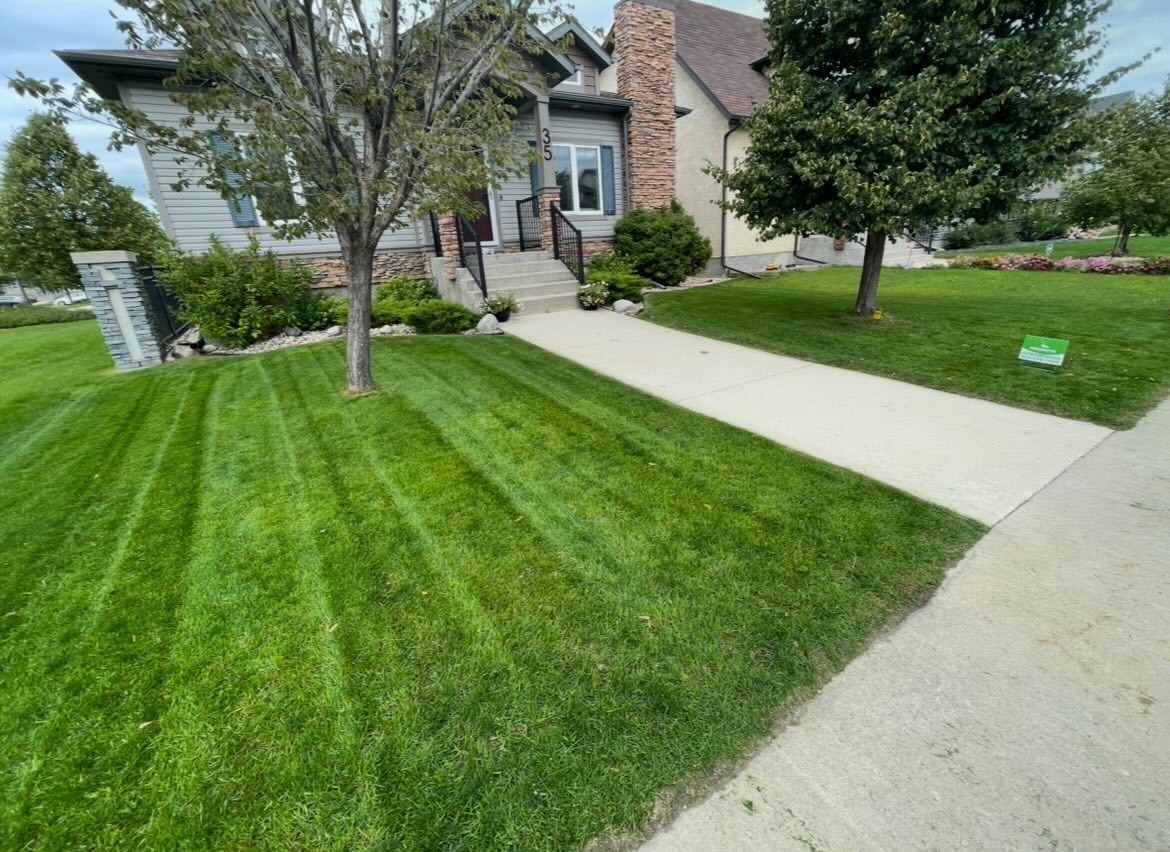 Lawn care