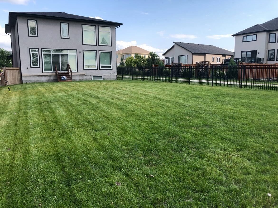 Lawn care